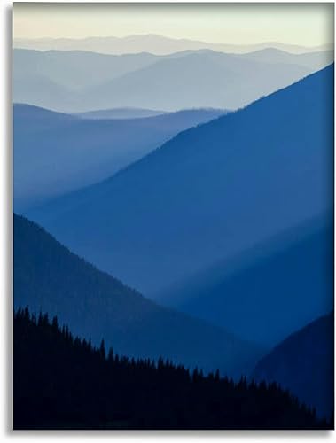 16"x20" Framed Canvas Wall Art R441