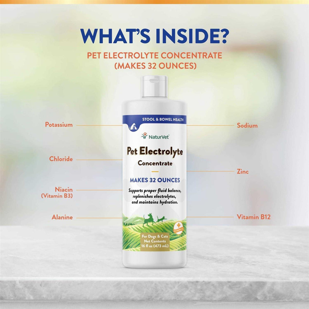 16 oz Pet Electrolyte Concentrate M798891