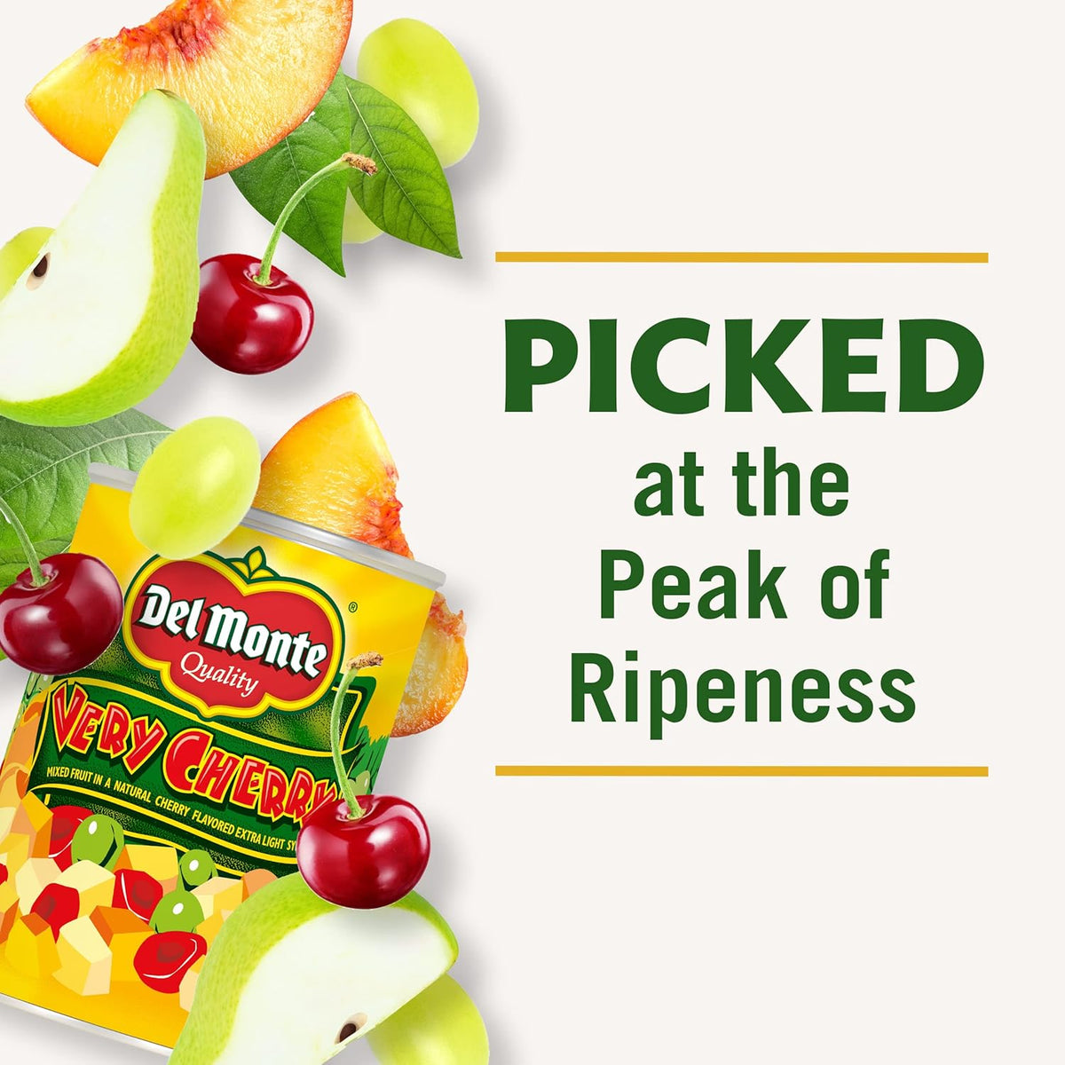 12 Pack 15 oz Canned Mixed Fruit in Extra Light Syrup C870179