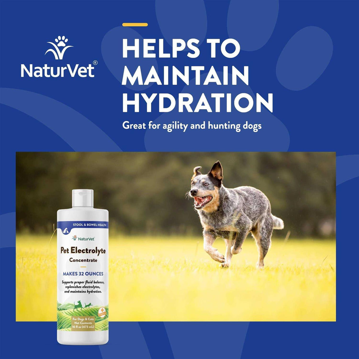 16 oz Pet Electrolyte Concentrate M798891
